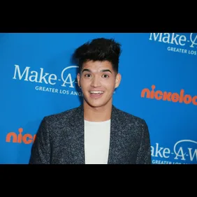 2018 Annual WISH Gala - Arrivals