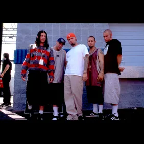 Portrait Of Limp Bizkit