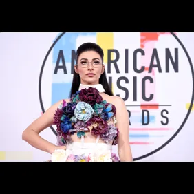 2018 American Music Awards - Red Carpet