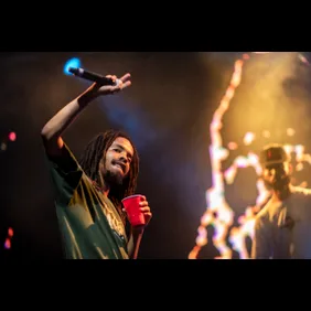 St Jerome's Laneway Festival 2020 - Brisbane