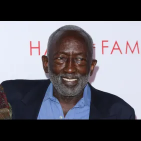 Television Academy's 24th Hall Of Fame Ceremony - Arrivals