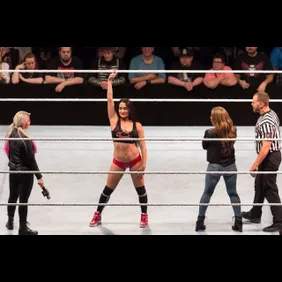 WWE Live - Live Show