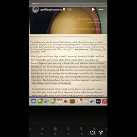 AokiLeeSimmonsInstagramStory