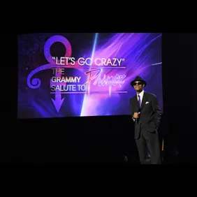 62nd Annual GRAMMY Awards  "Let's Go Crazy" The GRAMMY Salute To Prince
