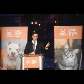 2017 Best Friends Benefit To Save Them All