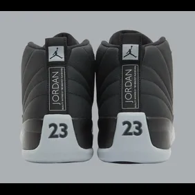 Air-Jordan-12-Black-Wolf-Grey-CT8013-010-Release-Date-3