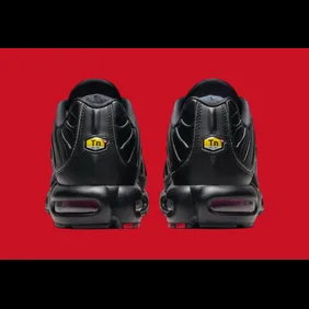 Nike-Air-Max-Plus-Leather-Bred-FZ3038-001-4