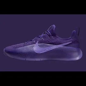 Nike-LeBron-TR1-Purple-Rain-FJ6151-500-1