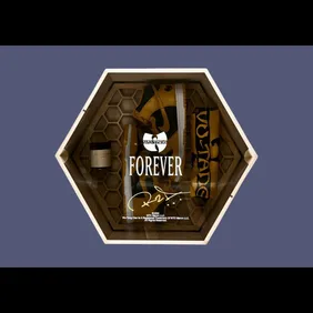 Wu-Tang-Nike-Dunk-High-Special-Box-4