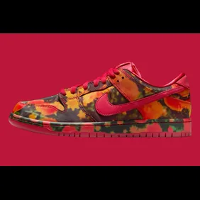 The-Wizard-of-Oz-Nike-SB-Dunk-Low-FZ1291-600-Release-Date-1