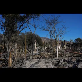 Syndication: USA TODAY