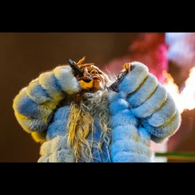 NBA: All Star Saturday Night