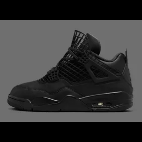 Air-Jordan-4-NET-Black-FN7251-001-Release-Date-1