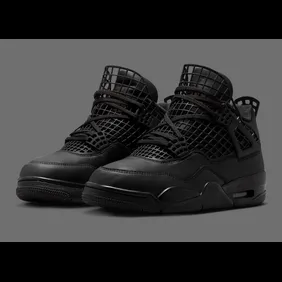 Air-Jordan-4-NET-Black-FN7251-001-Release-Date