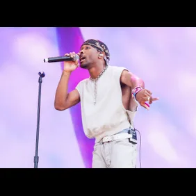 2024 Bonnaroo Music &amp; Arts Festival