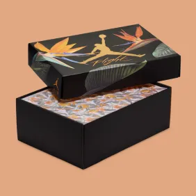 air-jordan-4-birds-of-paradise-hv0823-101-release-date-9