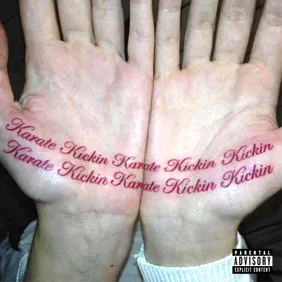 KARATE KICKIN Dom Corleo