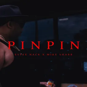 pinpin