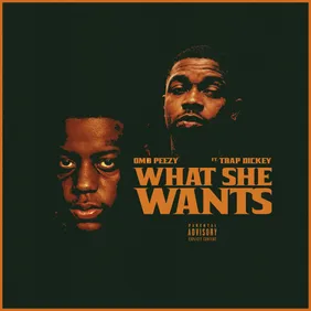 OMB Peezy - _What She Wants_ Single Artwork