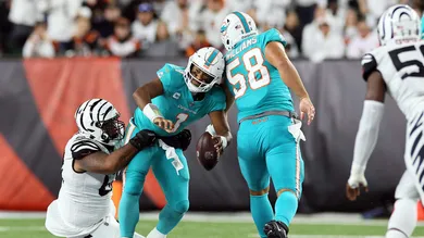 Miami Dolphins v Cincinnati Bengals