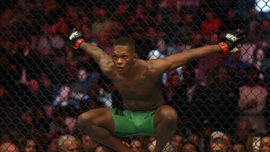 UFC 281: Adesanya v Pereira