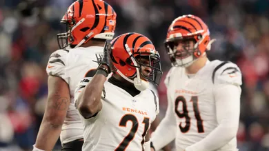 Cincinnati Bengals v New England Patriots