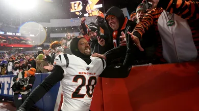 AFC Divisional Playoffs - Cincinnati Bengals v Buffalo Bills