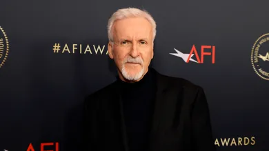 AFI Awards Luncheon - Red Carpet