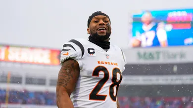 AFC Divisional Playoffs - Cincinnati Bengals v Buffalo Bills