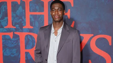 The Strays special screening - London