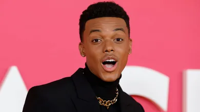 54th NAACP Image Awards - Arrivals