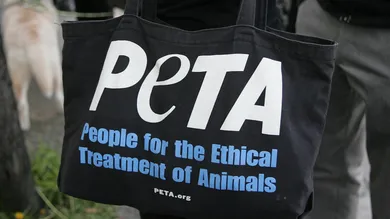 Dedication Ceremony For PETA's Los Angeles Office "The Bob Barker Building"