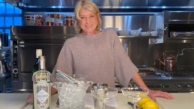 Hudson River Park Ungala