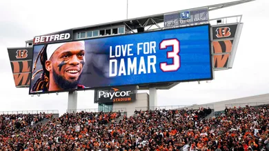 Baltimore Ravens v Cincinnati Bengals