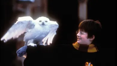 Harry Potter and The Sorcerer's Stone - Movie Stills