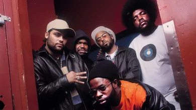 the roots organix