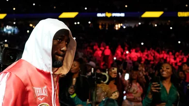 Terence Crawford vs. David Avanesyan