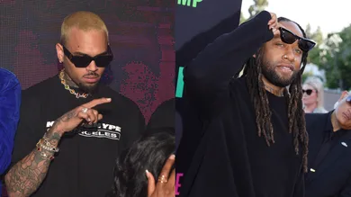 Chris Brown Ty Dolla Sign Motion Dog Attack Lawsuit