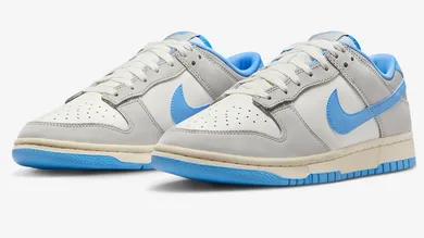Nike-Dunk-Low-Athletic-Department-FN7488-133-4
