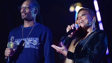 Pitbull's New Year's Revolution