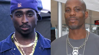 2pac-dmx-ai-track-fan-approved