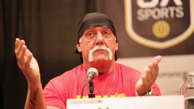 hulk hogan