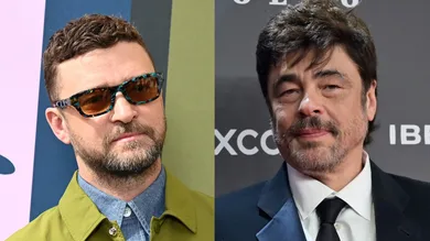 justin timberlake benicio del toro reptile