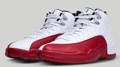Air-Jordan-12-Cherry-CT8013-116