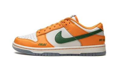 Nike Dunk Low Florida A&M