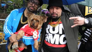 New Yorkers show costumed dogs for Halloween