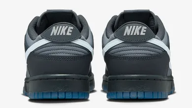 Nike-Dunk-Low-Anthracite-Pure-Platinum-Cool-Grey-FV0384-001-5