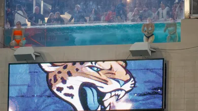 NFL: DEC 04 Bengals at Jaguars