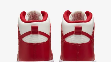 Nike-Dunk-High-Gym-Red-Gum-DD1869-114-5