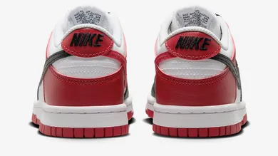 Nike-Dunk-Low-GS-Black-Toe-HF9980-600-5